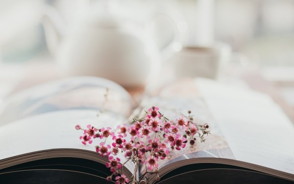 Photography Still Life Book Flower HD Wallpaper | Background Image