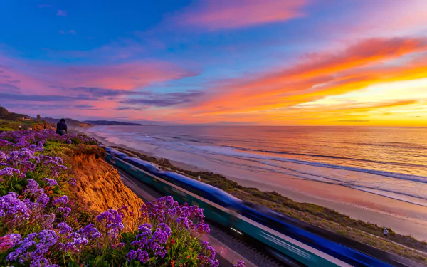 motion blur train pacific ocean California coast ocean flower sunset photography coastline HD Desktop Wallpaper | Background Image