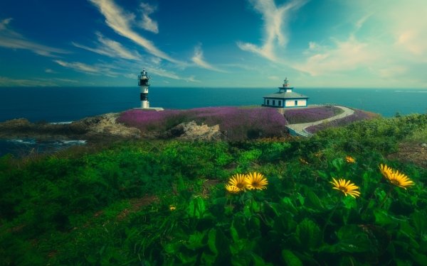 Man Made Lighthouse Sea Flower Bridge Nature Vegetation Island Spain HD Wallpaper | Background Image