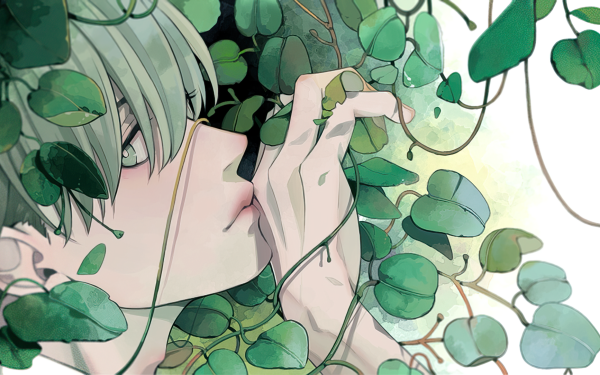 Anime Boy HD Wallpaper | Background Image