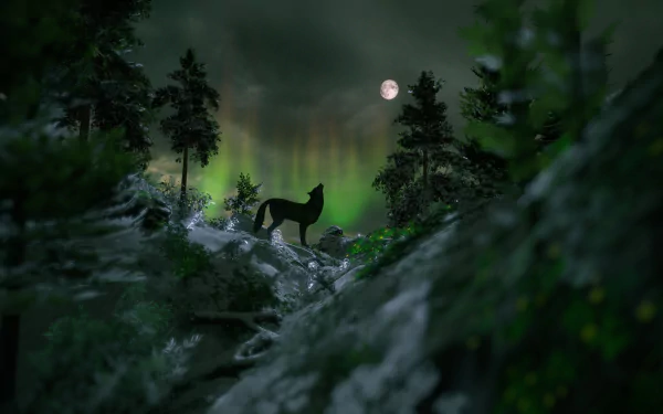 fir tree aurora borealis moon night forest Animal wolf HD Desktop Wallpaper | Background Image