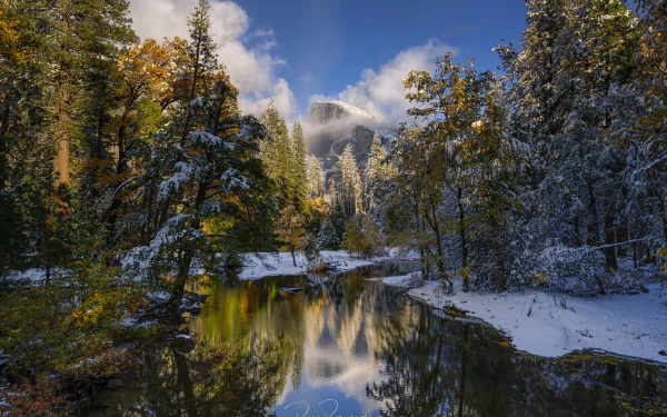 merced river Sierra Nevada California mountain river reflection snow forest nature Yosemite National Park Snowy Mountain HD Desktop Wallpaper | Background Image