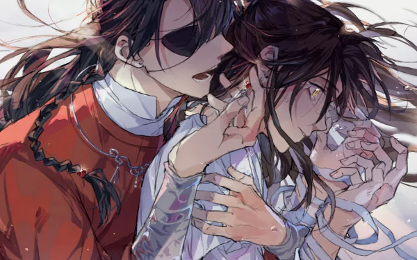 Xie Lian San Lang Hua Cheng His Royal Highness the Crown Prince of Xianle Heaven Official's Blessing Crimson Rain Sought Flower Anime Tian Guan Ci Fu HD Desktop Wallpaper | Background Image