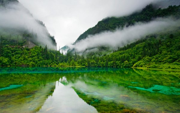 Earth Reflection Forest Lake Lagoon Fog Landscape Mountain Scenic HD Wallpaper | Background Image