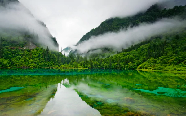 A scenic HD wallpaper of a serene mountain landscape with fog drifting over a lush forest and a clear lagoon reflecting the greenery and mist.