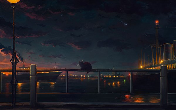 Anime Night Cat Ship HD Wallpaper | Background Image