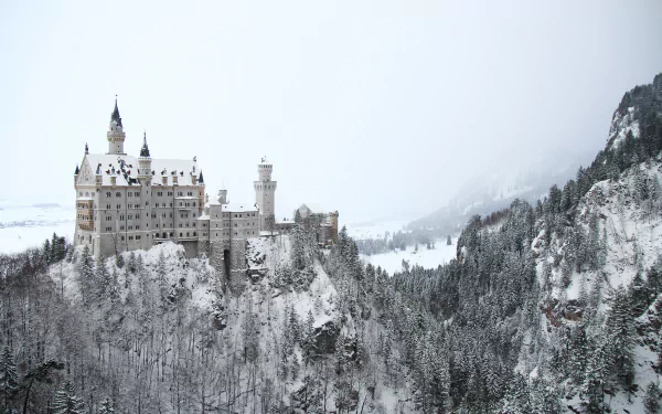 architecture fir tree Germany castle fog winter man made Neuschwanstein Castle HD Desktop Wallpaper | Background Image