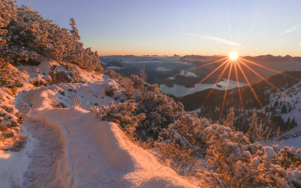 Bavarian Alps bush path Bavaria Germany mountain sunset snow winter nature sunbeam Snowy Mountain winter sunset HD Desktop Wallpaper | Background Image