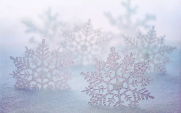 snow artistic snowflake HD Desktop Wallpaper | Background Image