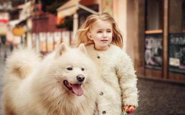 5K Ultra HD PC desktop wallpaper: joyful mood photography of a child in a white coat walking a fluffy Samoyed dog down a city street.