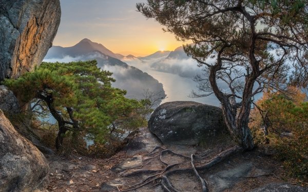 Earth Tree Root Roots Sun Cloud Mountain South Korea HD Wallpaper | Background Image