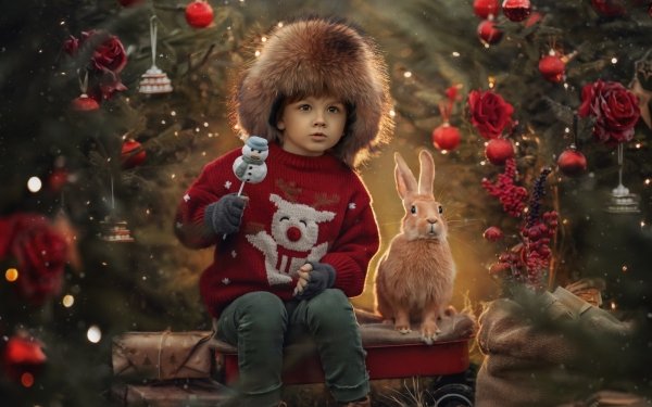 Photography Child Rabbit Christmas Tree HD Wallpaper | Background Image