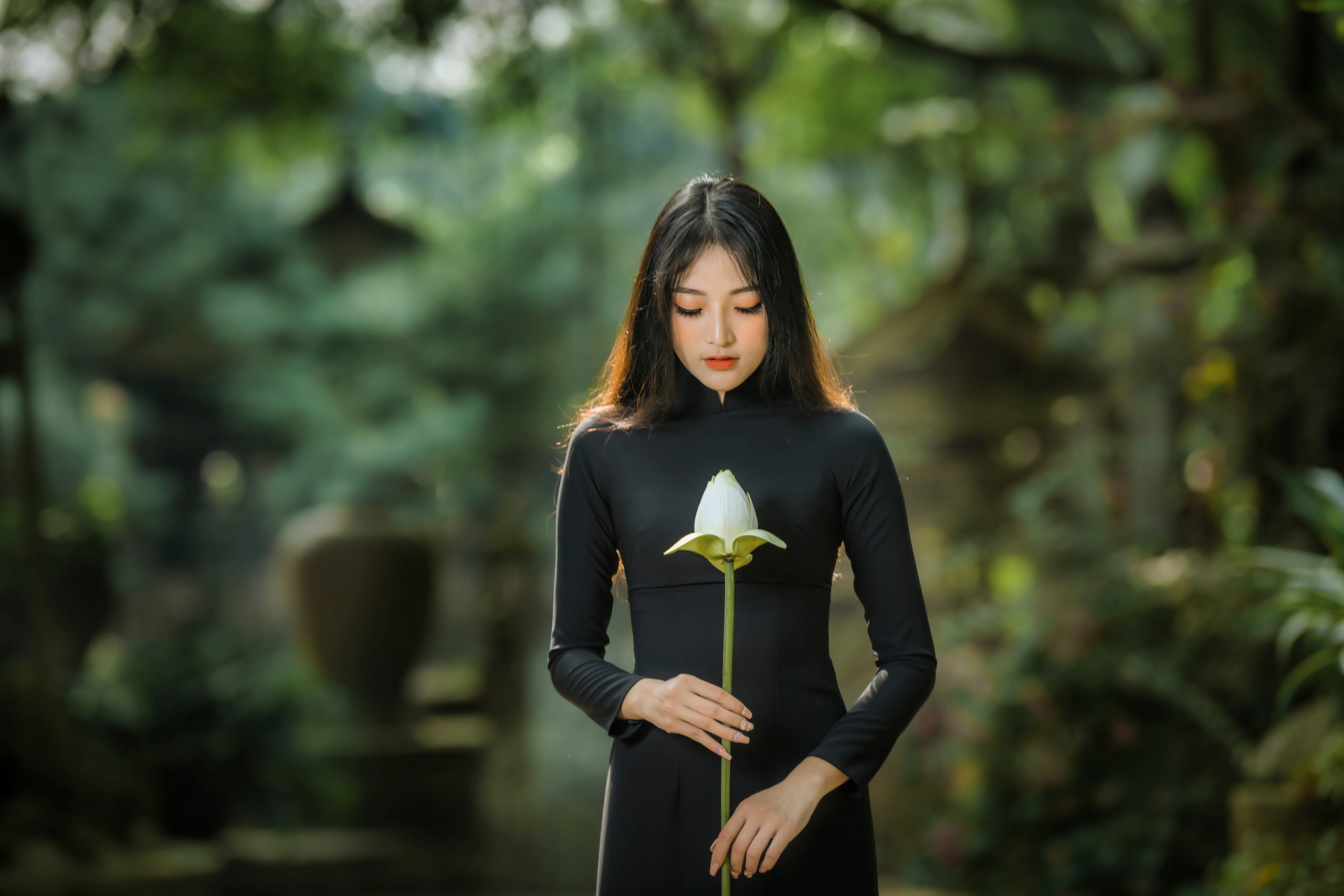 Download Depth Of Field Black Hair Model Lotus Woman Asian Hd Wallpaper