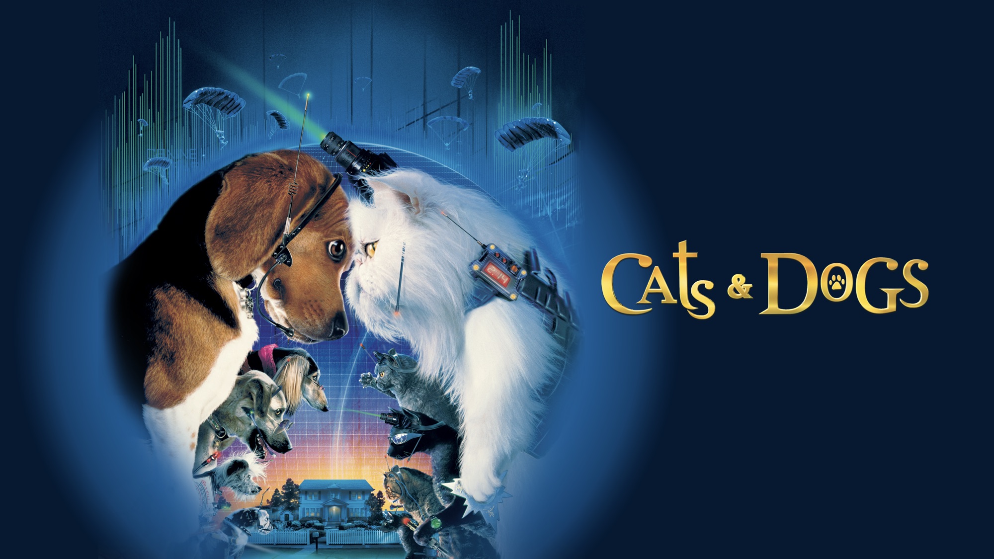 Movie Cats & Dogs HD Wallpaper