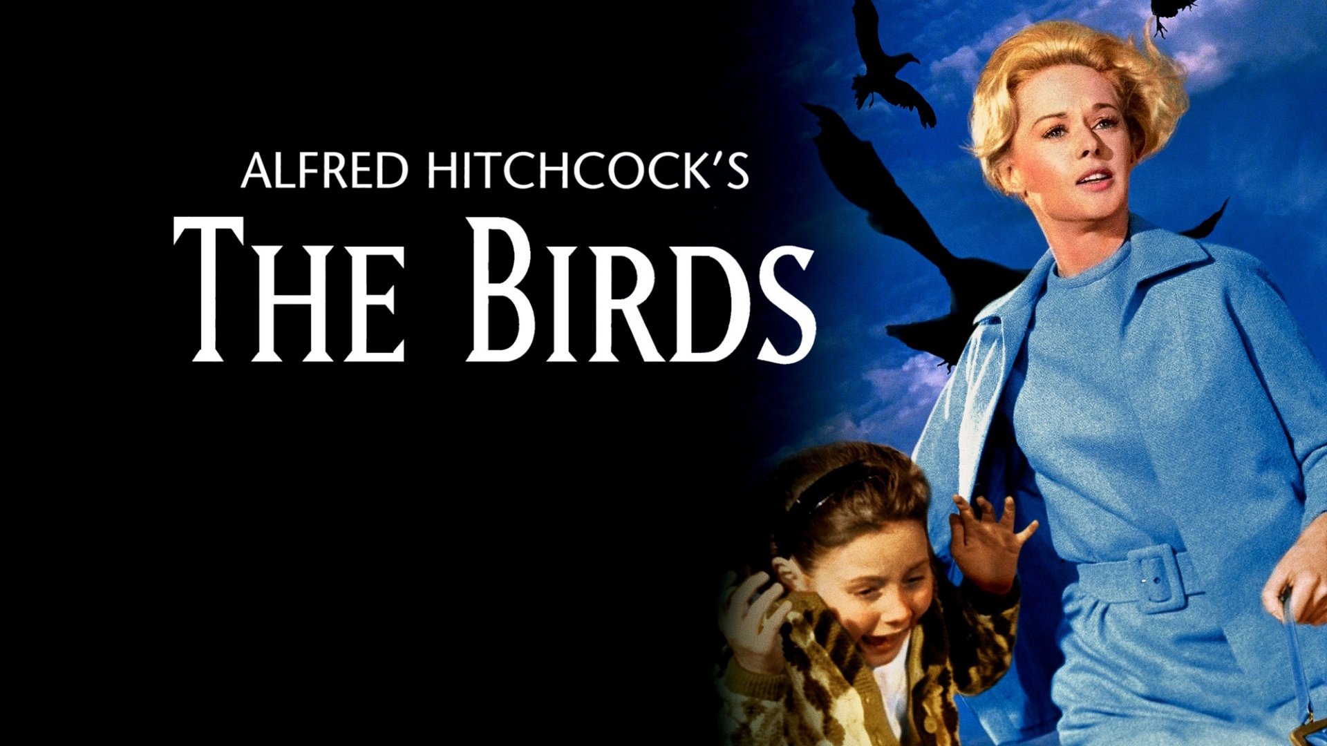 Download Movie The Birds HD Wallpaper