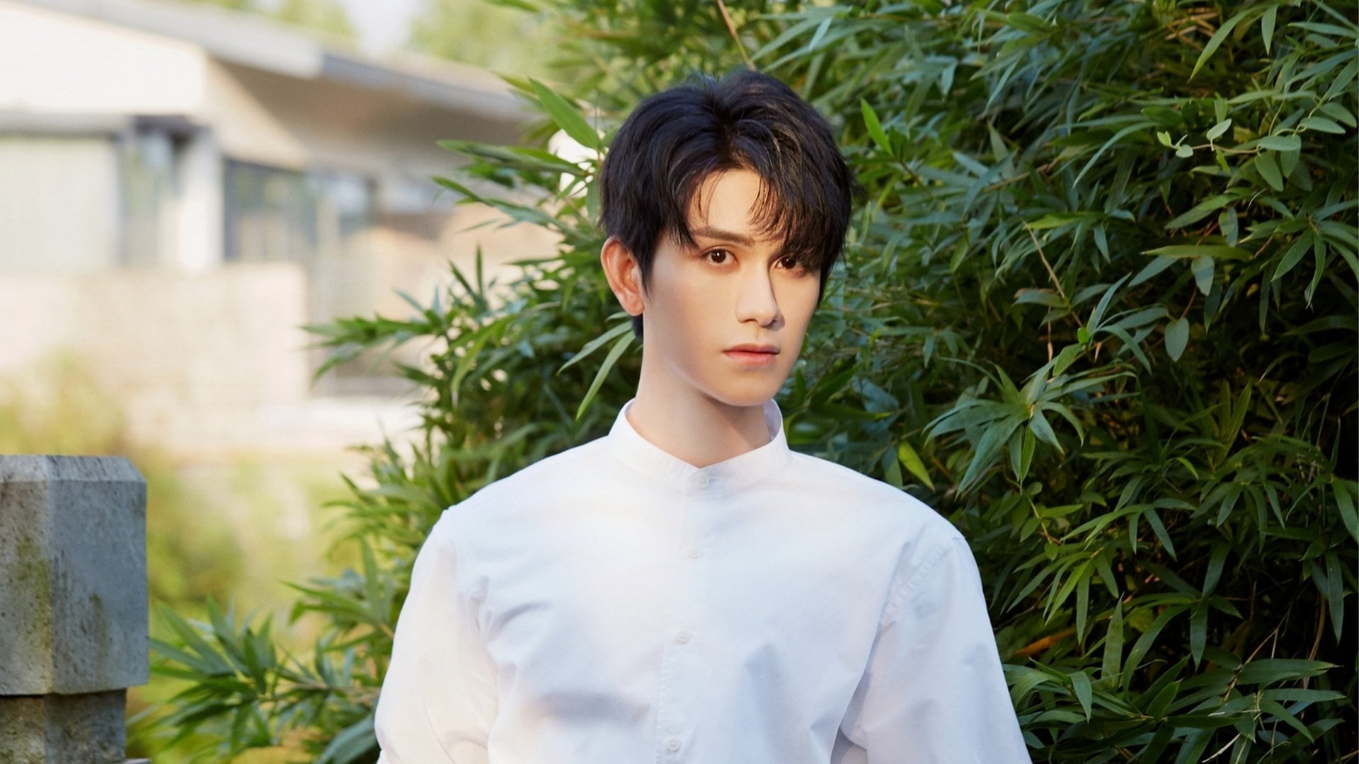 Download Celebrity Zhu Zanjin HD Wallpaper