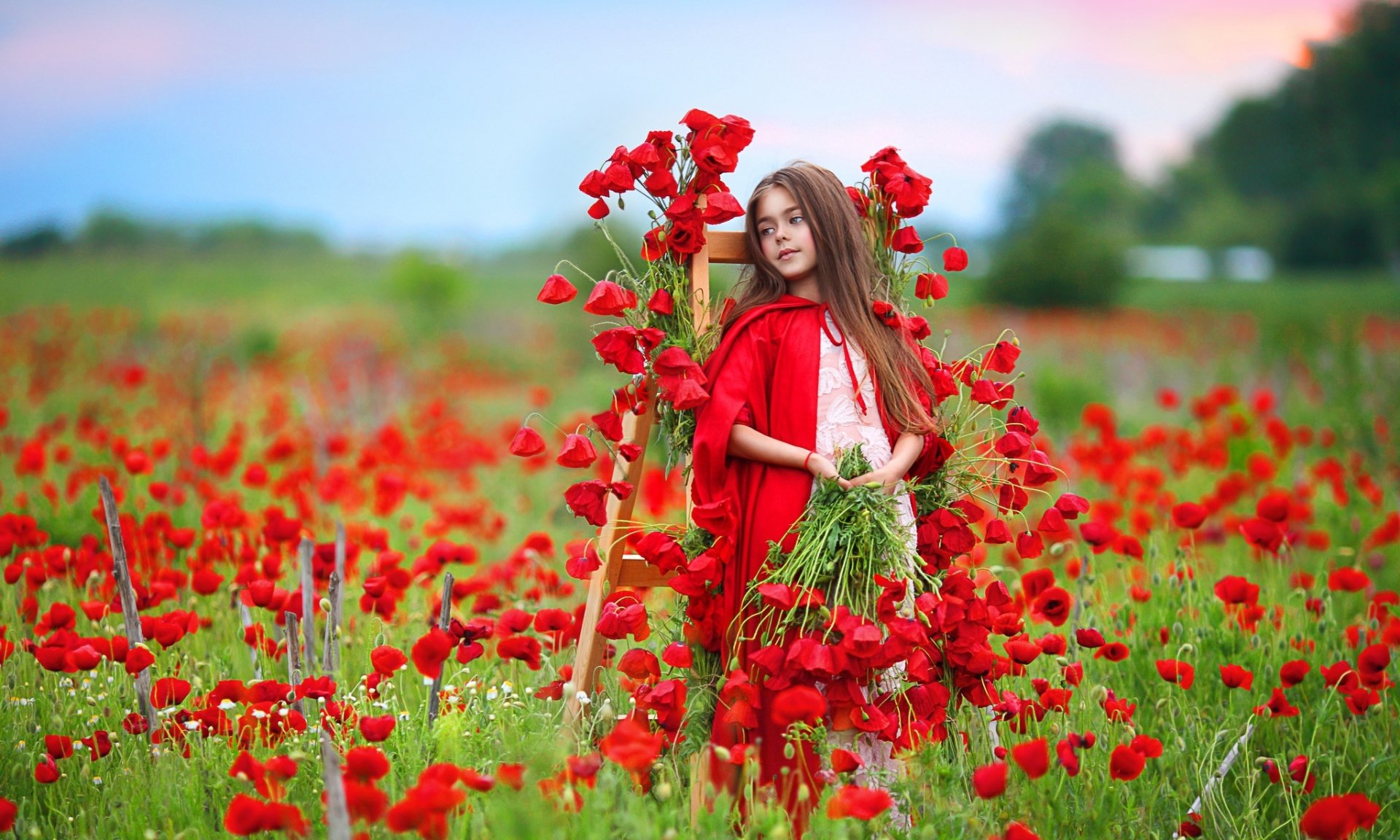 Download Poppy Red Flower Flower Photography Child HD Wallpaper