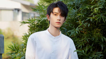 Celebrity Zhu Zanjin HD Desktop Wallpaper | Background Image