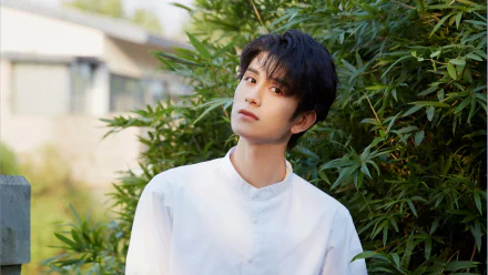 Celebrity Zhu Zanjin HD Desktop Wallpaper | Background Image