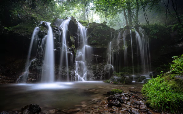 stream vegetation nature waterfall HD Desktop Wallpaper | Background Image