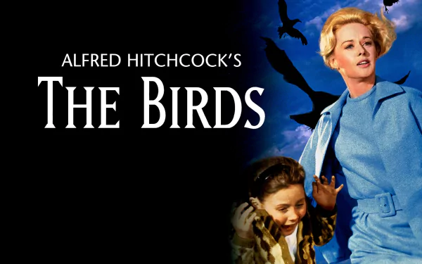 movie The Birds HD Desktop Wallpaper | Background Image