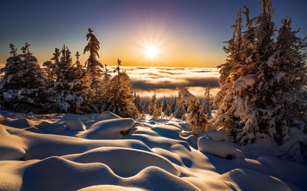 Nature Winter Sun Sunbeam Snow Landscape Horizon HD Wallpaper | Background Image