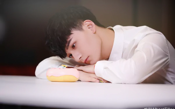 Celebrity Ji Li HD Desktop Wallpaper | Background Image