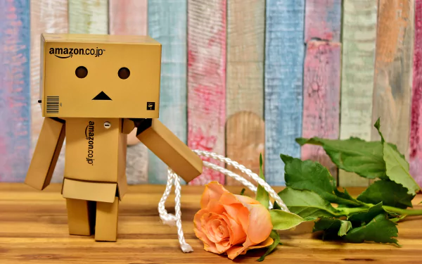 Misc danbo HD Desktop Wallpaper | Background Image