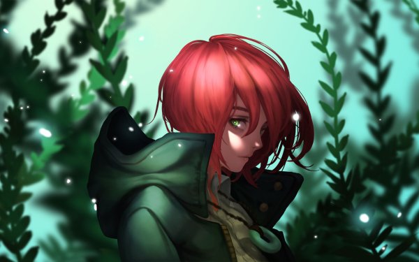 Anime The Ancient Magus' Bride Chise Hatori HD Wallpaper | Background Image