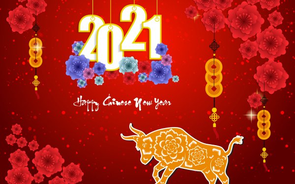 Chinese New Year HD Wallpaper | Background Image | 2560x1600 | ID