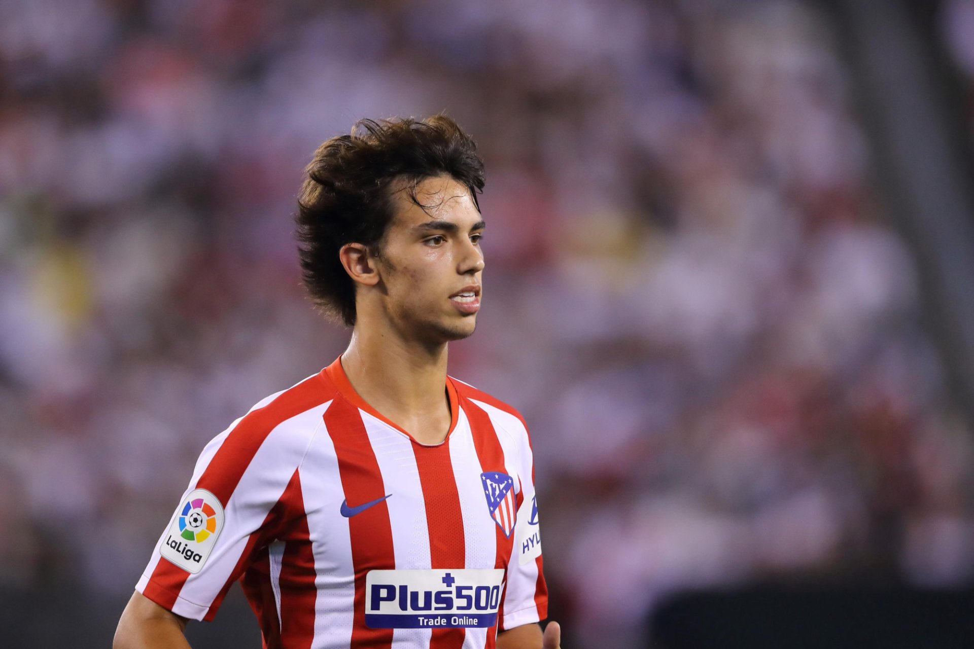 Download Soccer Portuguese Joao Felix Sports HD Wallpaper