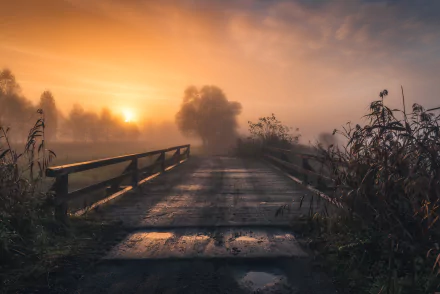 outdoor sunset nature fog man made bridge HD Desktop Wallpaper | Background Image