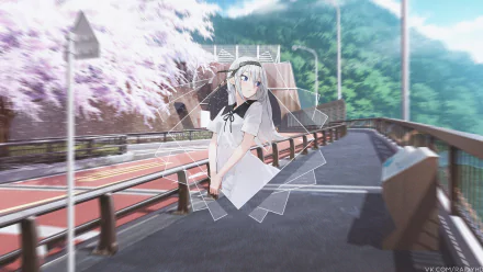  Kei Shirogane