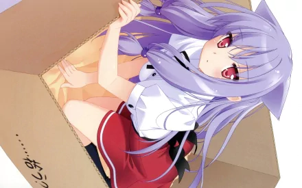 A high-definition desktop wallpaper featuring Kiriya Nozomi from the anime *Mayoi Neko Overrun!*, depicted sitting inside a cardboard box with a playful expression.