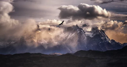 landscape South America Andes bird cloud nature mountain HD Desktop Wallpaper | Background Image
