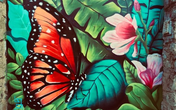 Artistic Graffiti Butterfly HD Wallpaper | Background Image