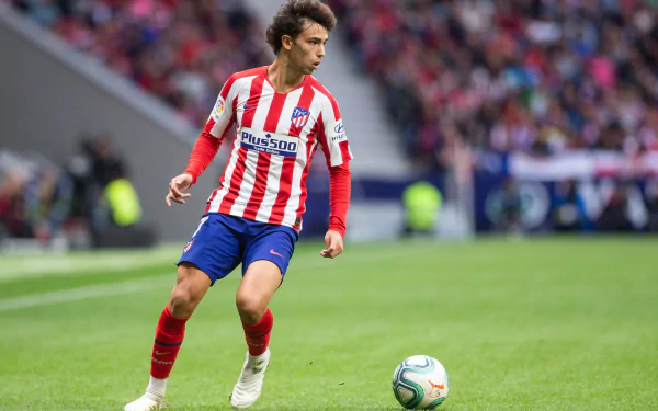 soccer Portuguese Joao Felix Sports HD Desktop Wallpaper | Background Image