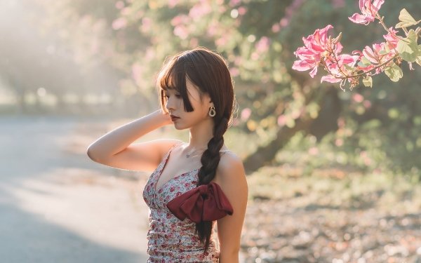 Women Asian Model Brunette Braid Depth Of Field HD Wallpaper | Background Image