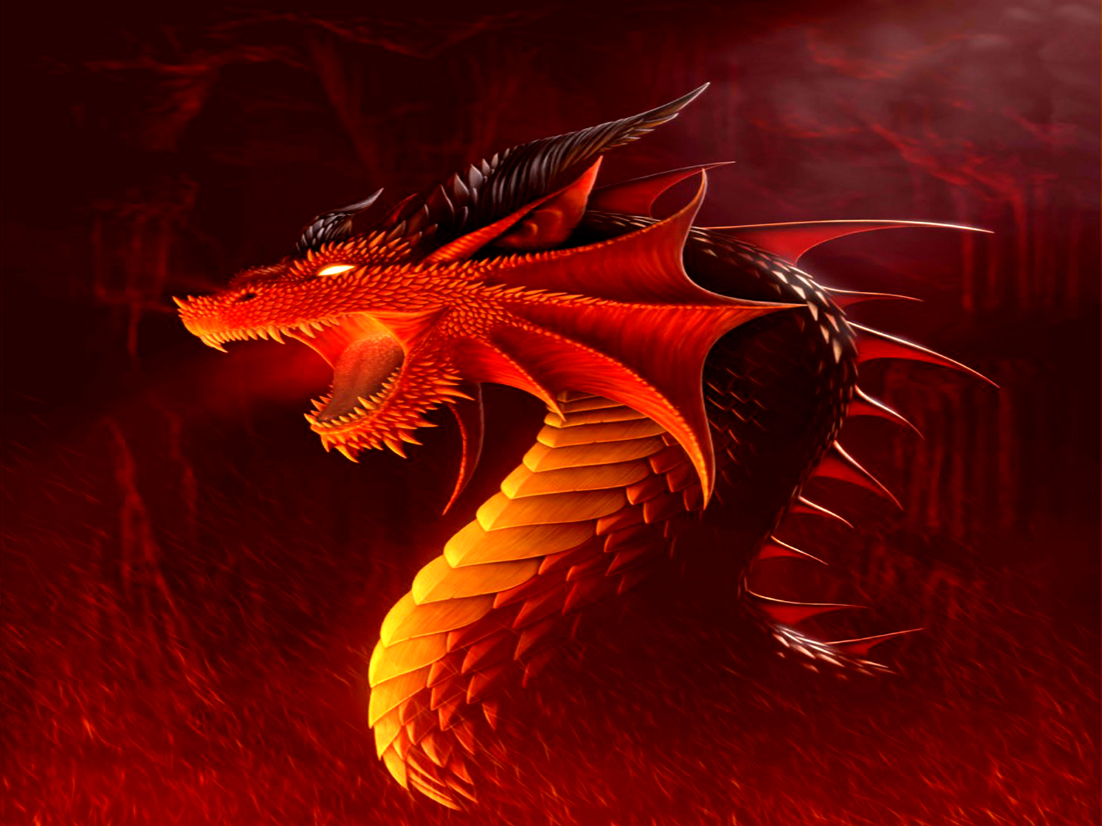Fantaisie Dragon Fond d'écran HD | Image