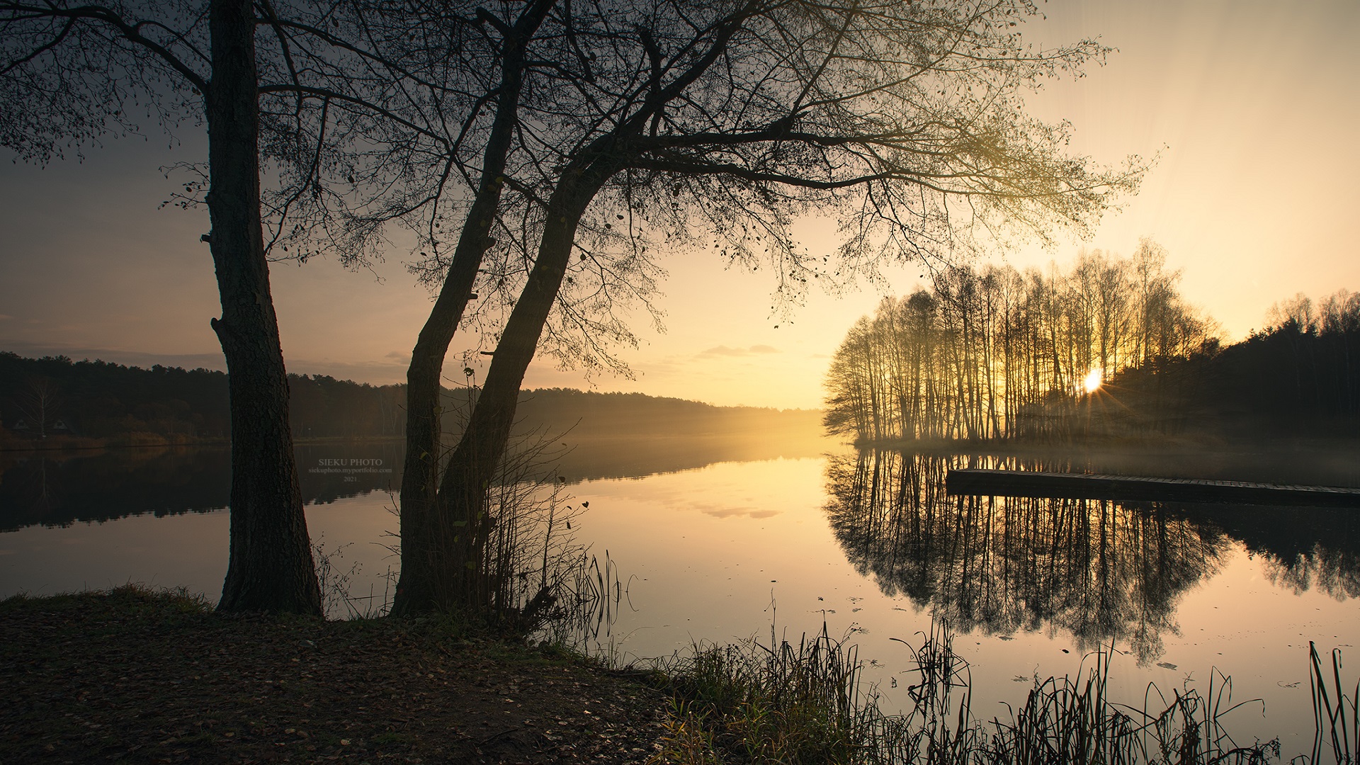 Download Water Tree Nature Sunrise HD Wallpaper by Sieku Photo