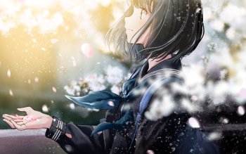 Wallpaper ID: 1140496