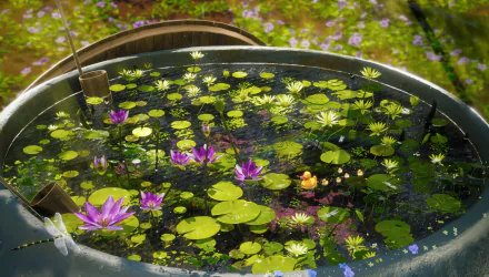 Anime-style 5K Ultra HD PC desktop wallpaper and background: water lilies and green pads floating in a sunlit pond, vivid purple blooms and rippling reflections.