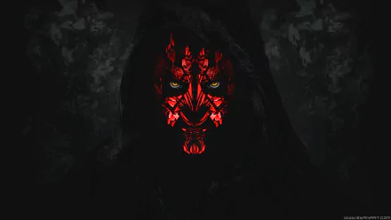  Star Wars Darth Maul