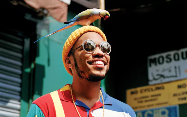 HD desktop wallpaper featuring a smiling individual wearing sunglasses with a colorful bird perched on their head.