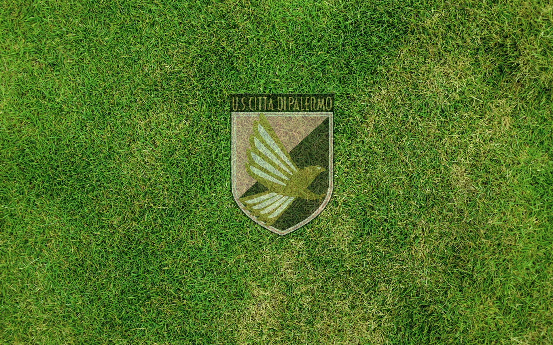 PALERMO F.C in 2023  Palermo, Logo redesign, Football club