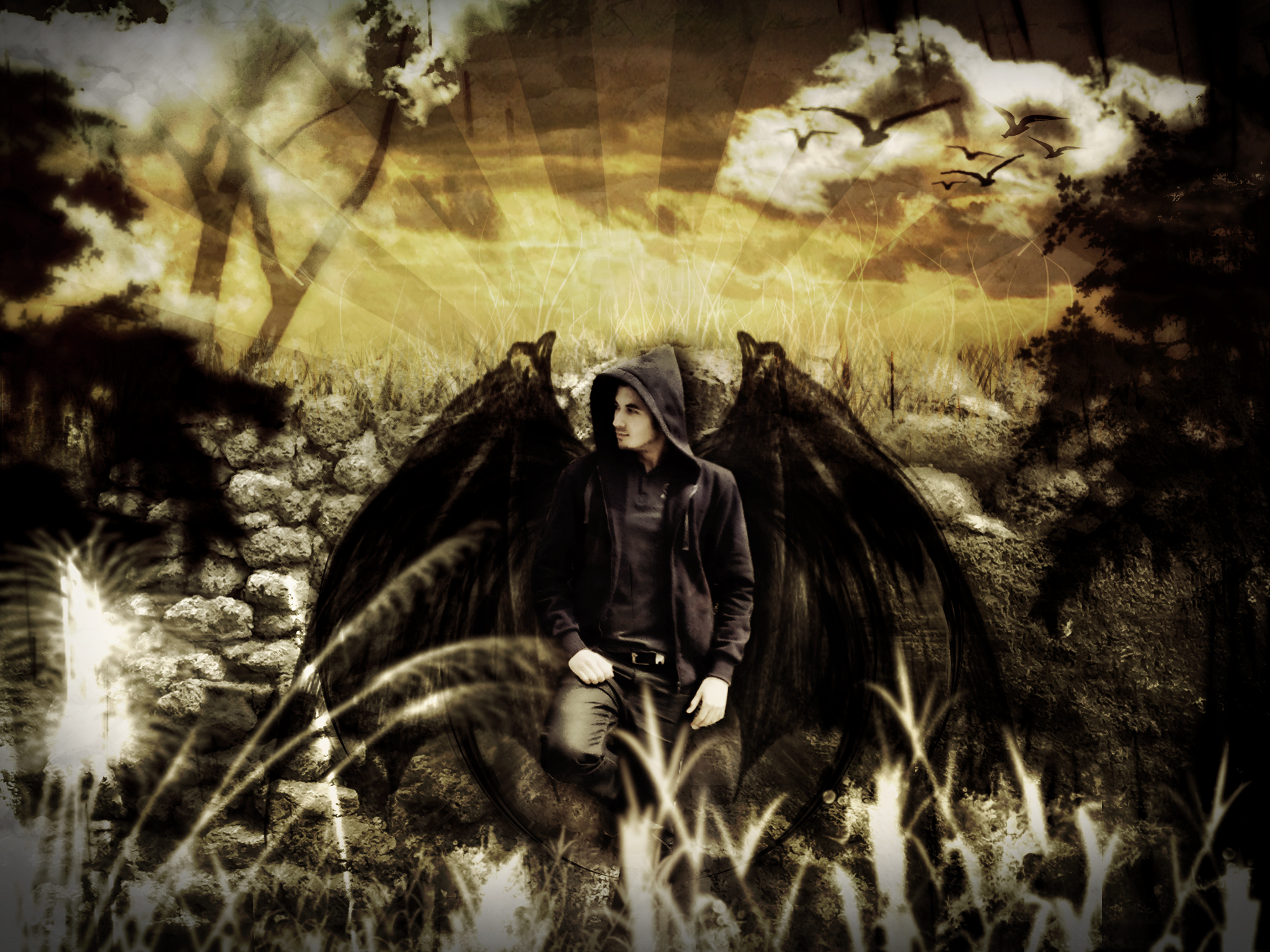 Dark Angel HD Wallpaper | Background Image