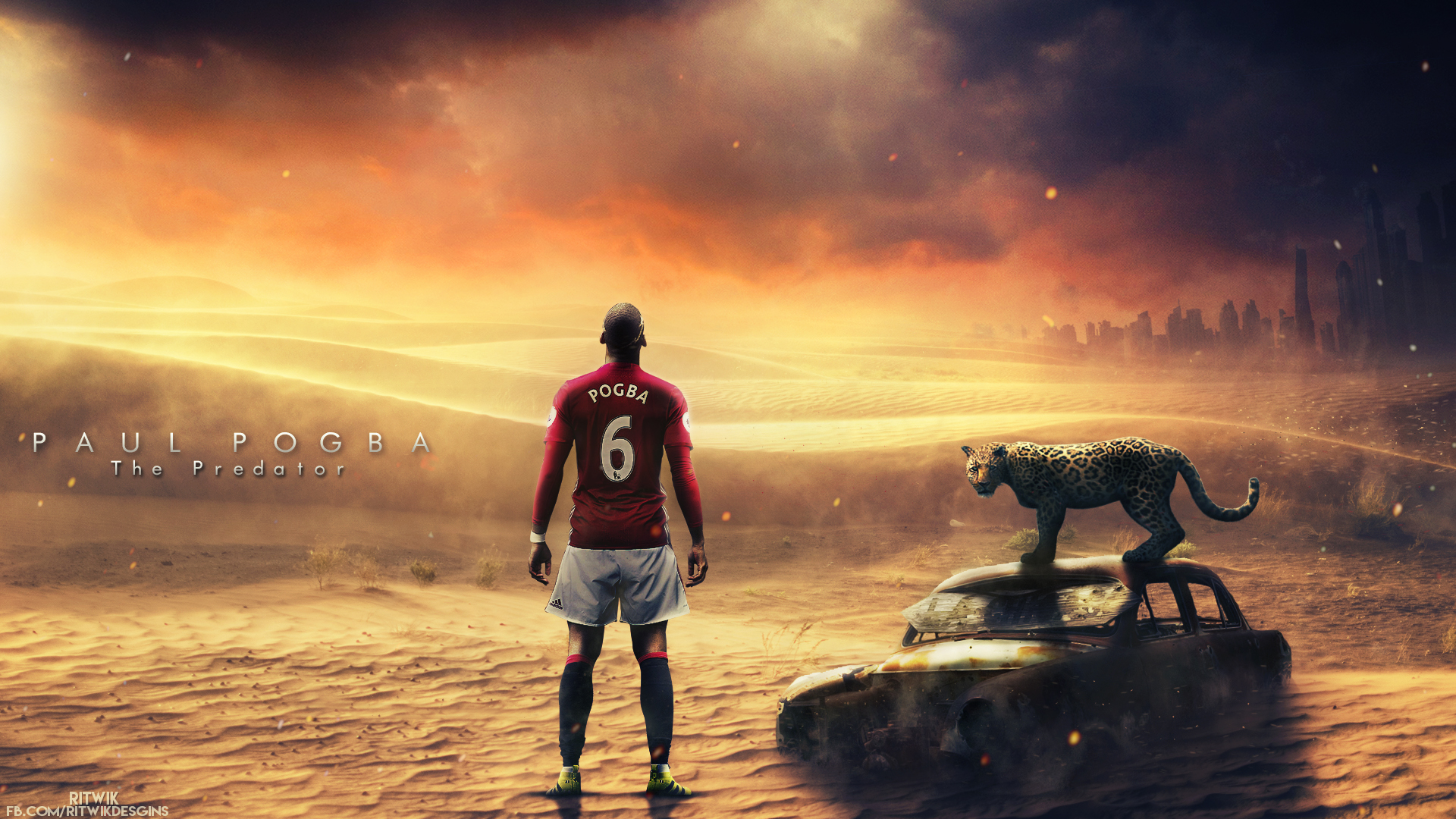 90+ Paul Pogba HD Wallpapers and Backgrounds