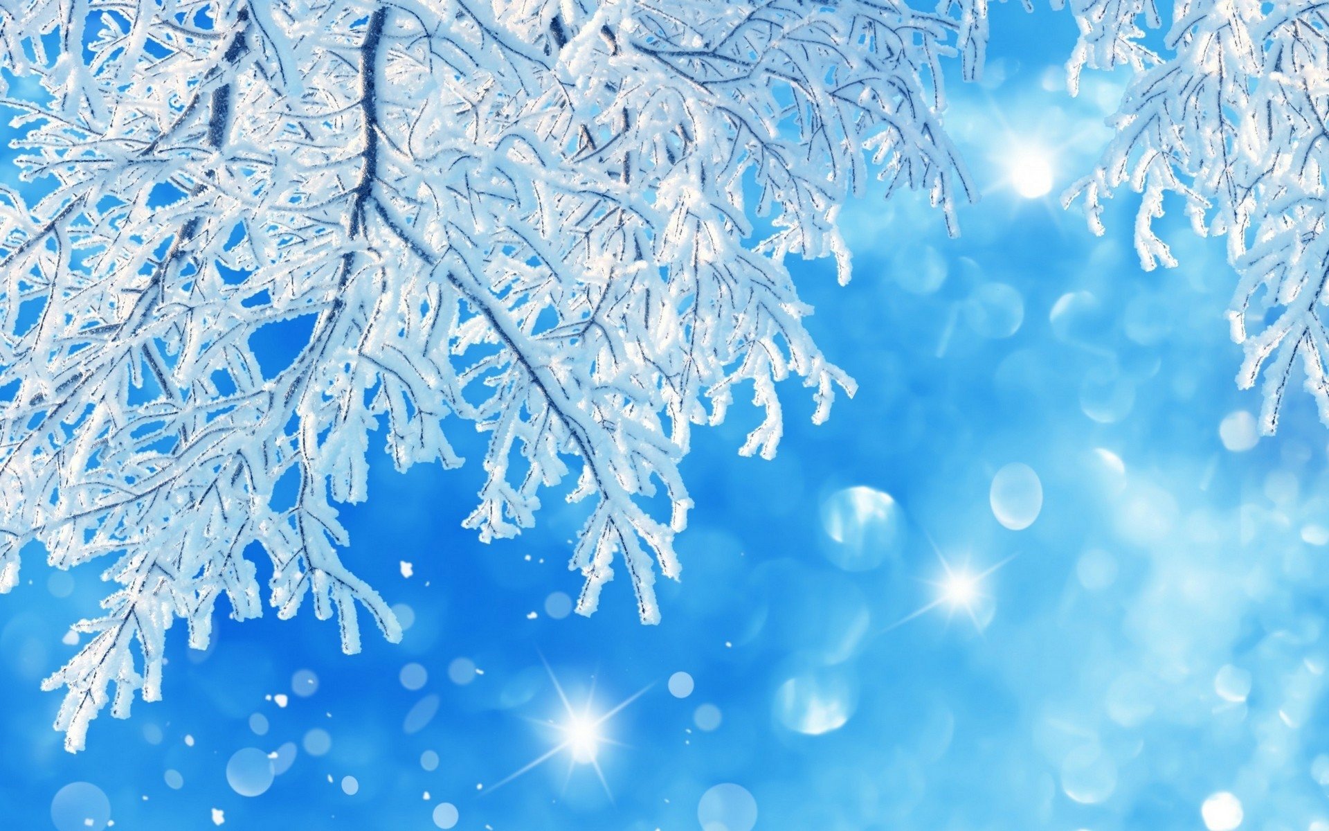 HD wallpaper frosted glass winter cold temperature snow snowflake  frozen  Wallpaper Flare