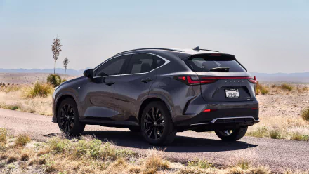  2022 Lexus NX F Sport