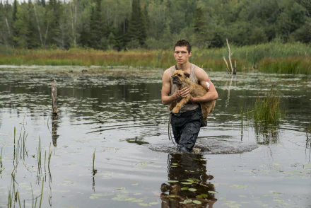 Todd Hewitt Tom Holland movie Chaos Walking HD Desktop Wallpaper | Background Image